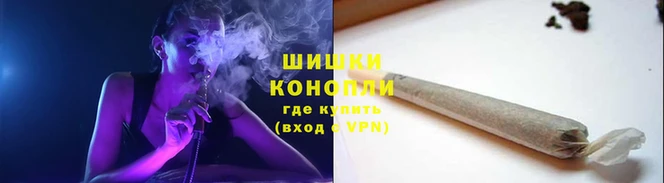 ECSTASY Дмитров