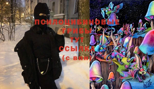 амф Дмитриев