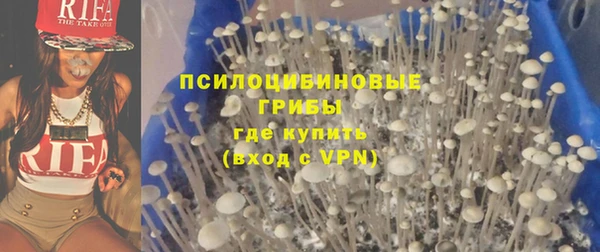 амф Дмитриев