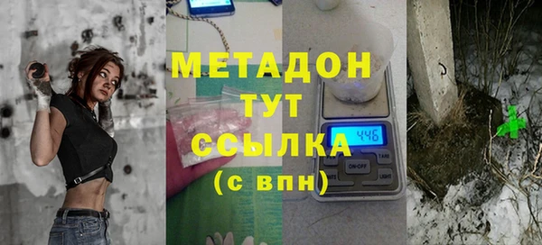 амф Дмитриев