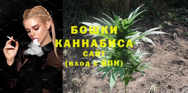 ECSTASY Дмитров