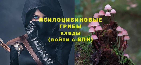 ECSTASY Дмитров